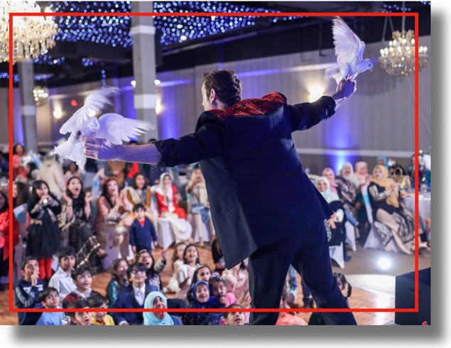 Family Event Clean Comedy Magician Corporate Comedy Magician For Company Parties and Trade Shows in Chicago